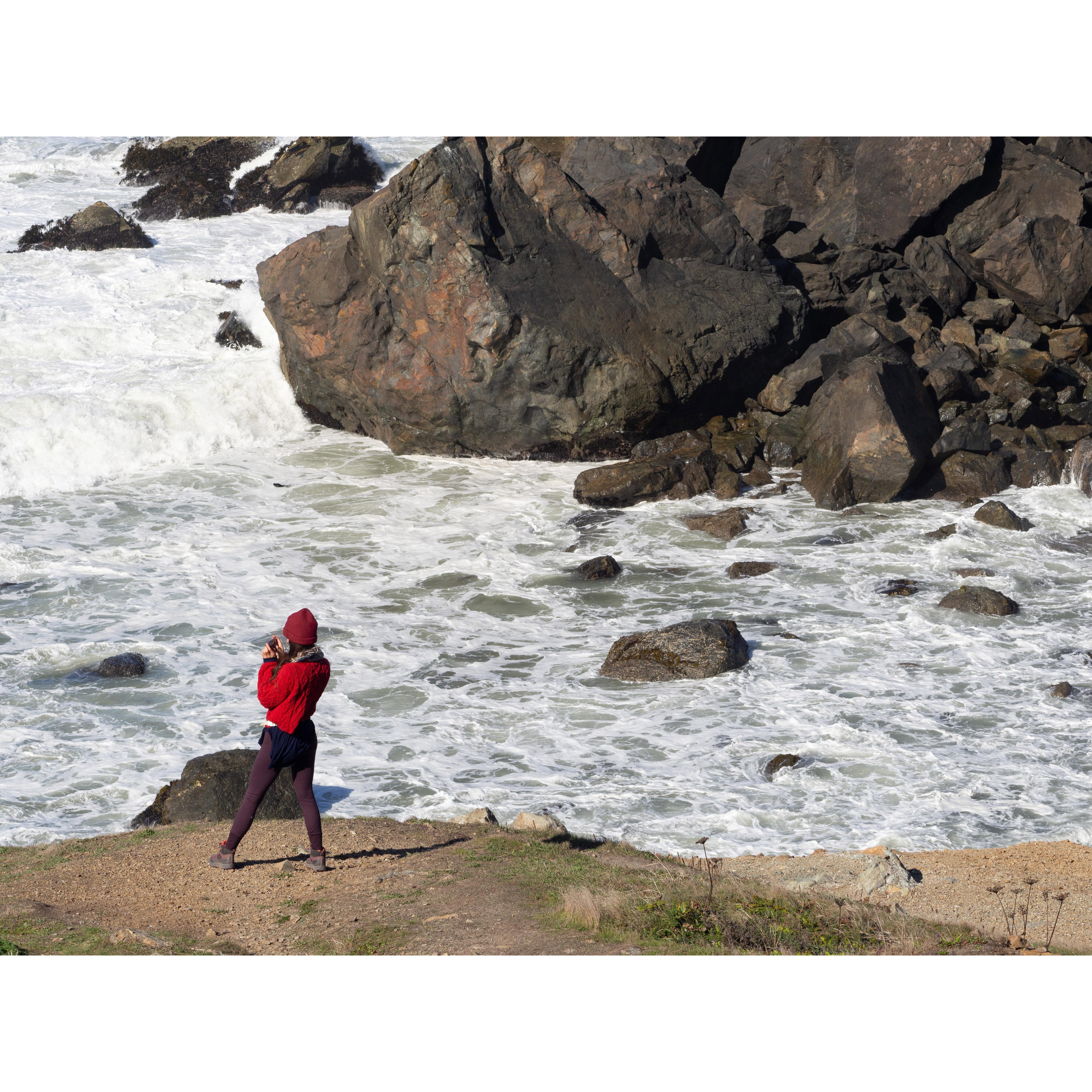 Patrick's Point State Park, California 2019