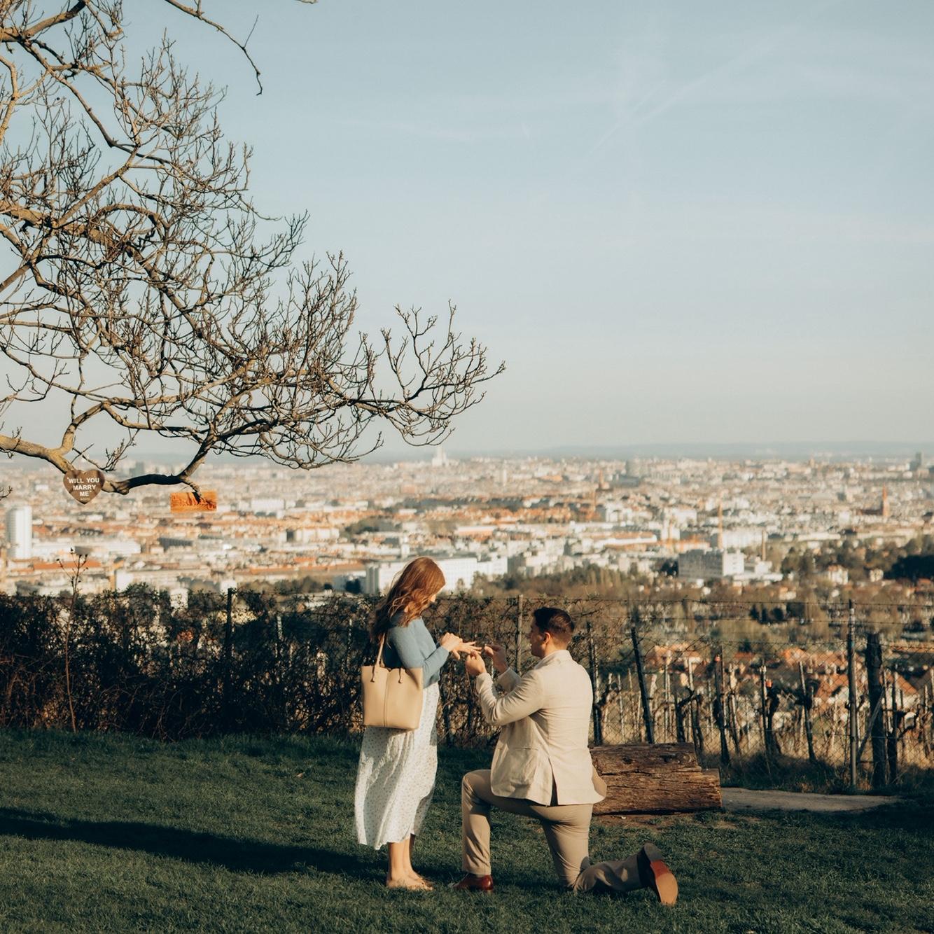 The proposal!