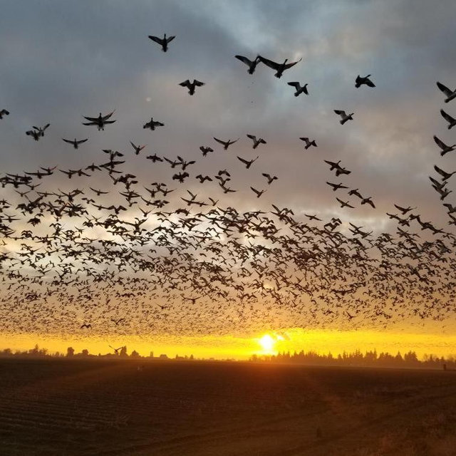 Hunting fund 🦆🦌🌲🎣