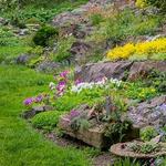 Leonard J Buck Garden