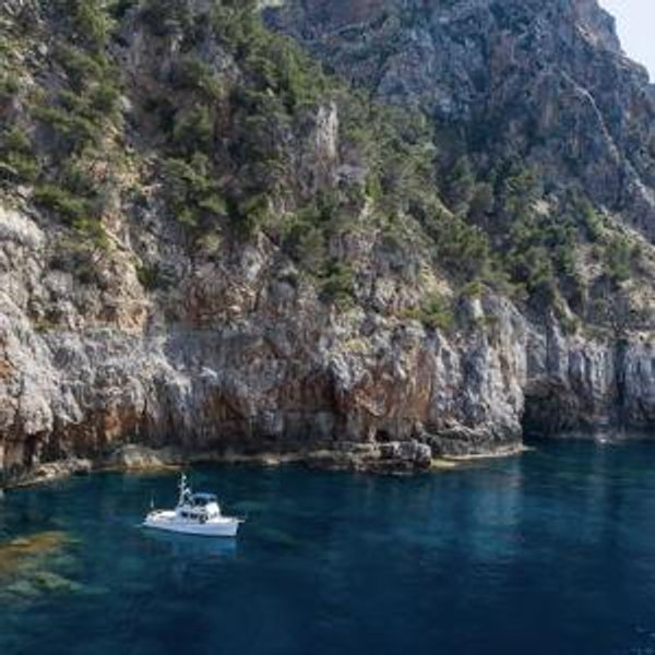 Private Boat Tour in Palma de Mallorca