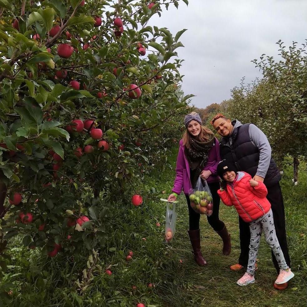 Family apple picking with Scott