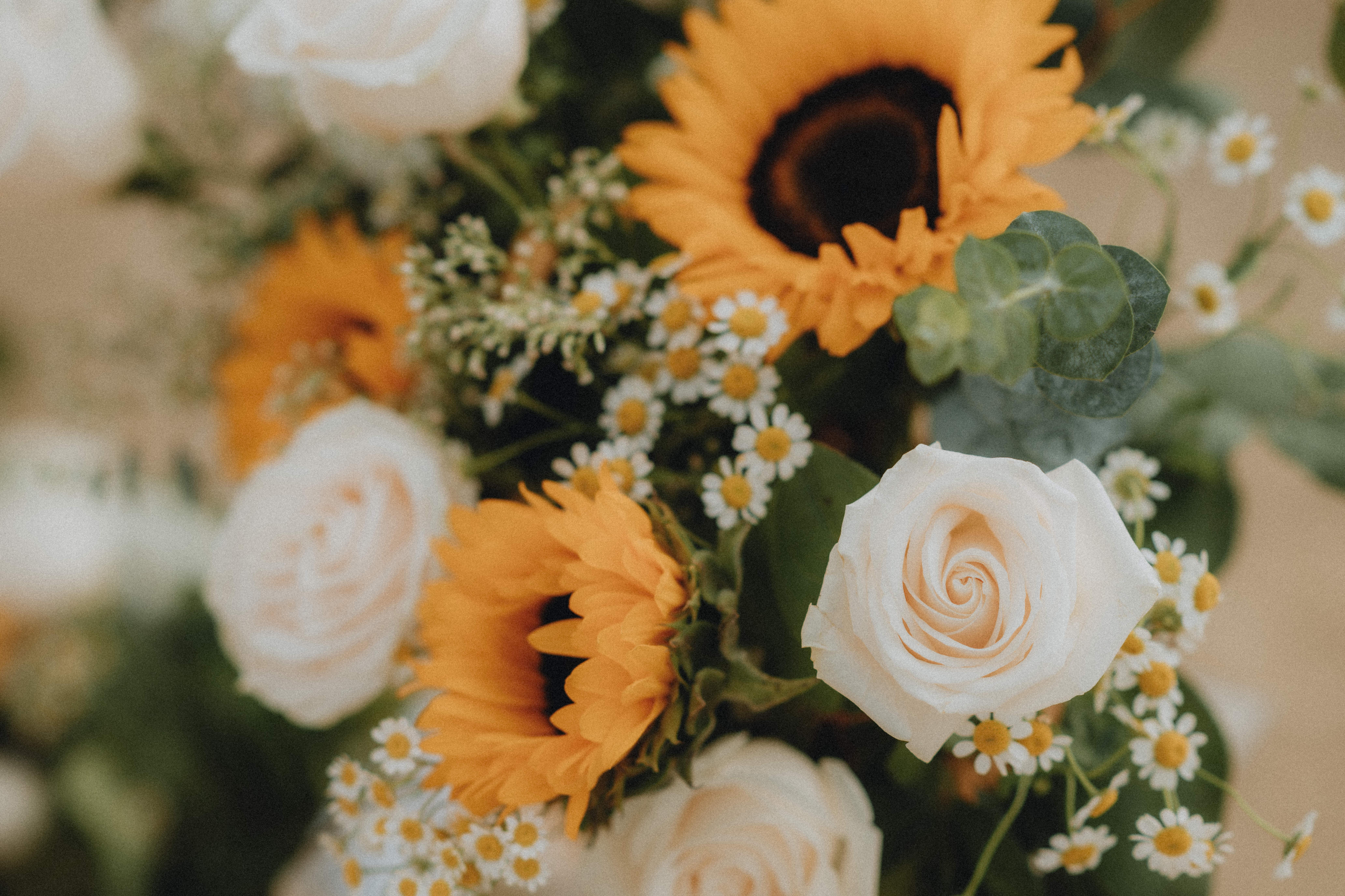 The Wedding Website of Jaclyn Krynsky and Lucas Frias