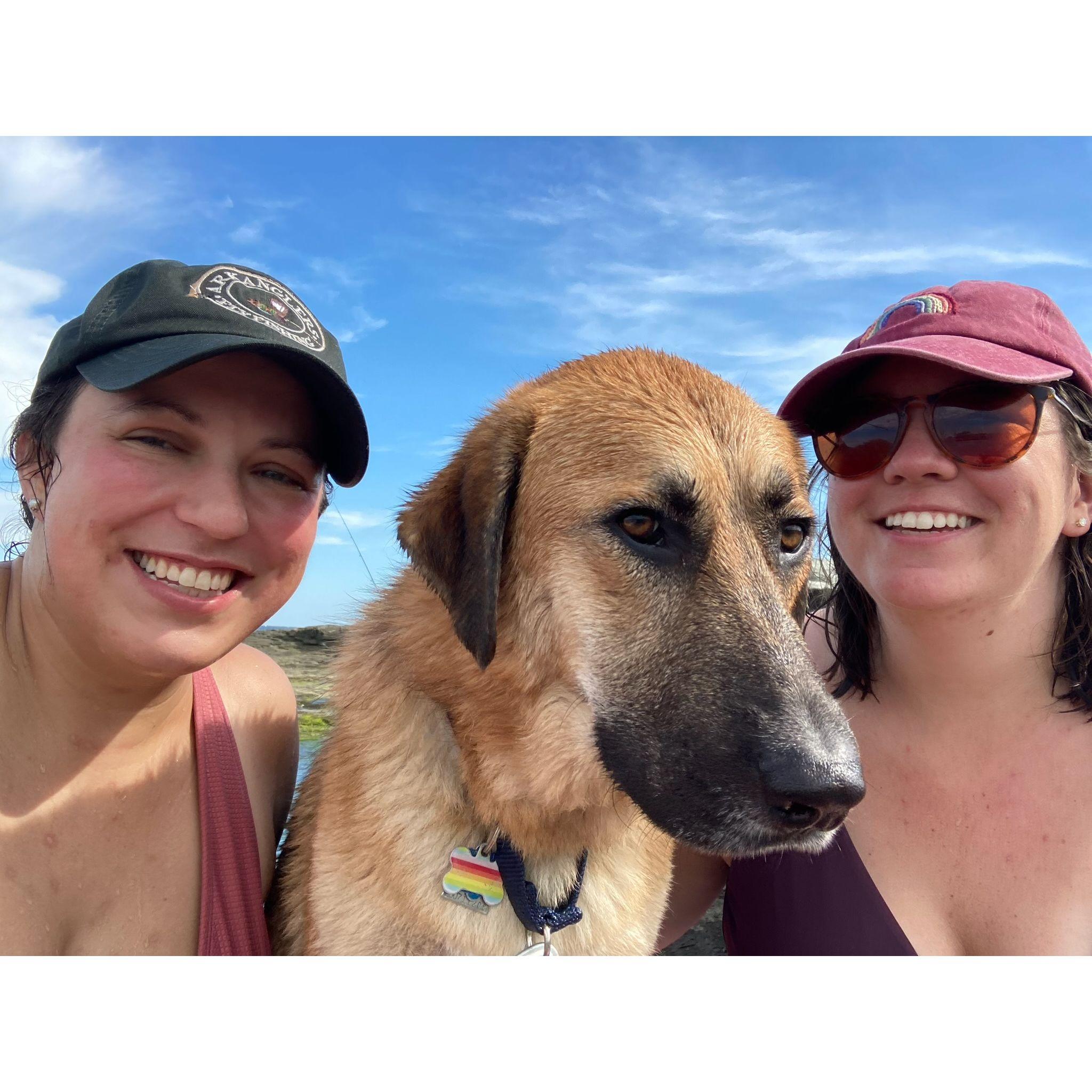 our first outing in New Haven, Stanley loved swimming in the sound (despite his pout)