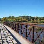 Busse Woods