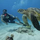 Scuba Diving