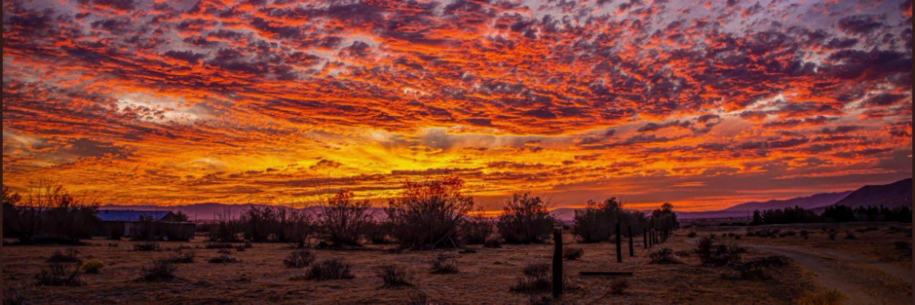 The Wedding Website of Melinda Cea and Joel Tallbut