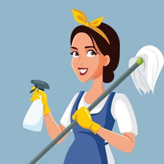 Monthly Cleaning Service ($150 a month)