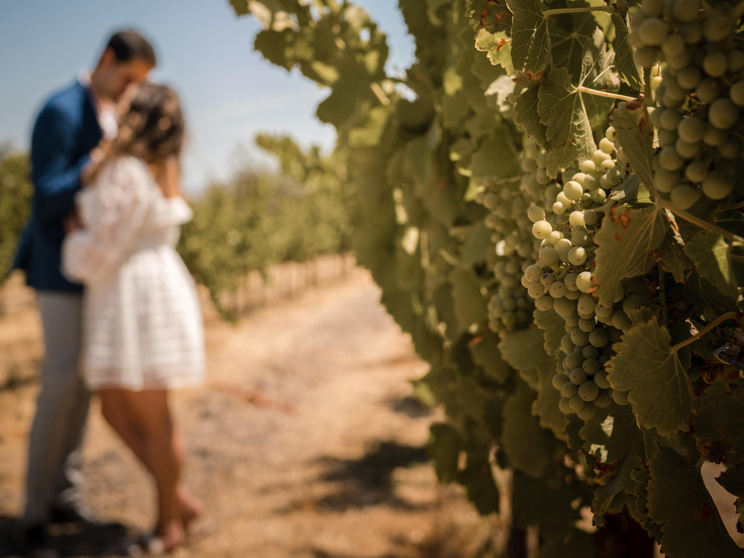The Wedding Website of Emily Carsch and Rafael Gimenes