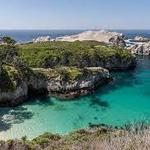 Point Lobos State Natural Reserve