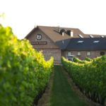 Newport Vineyards