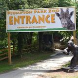 Go to the Zoo