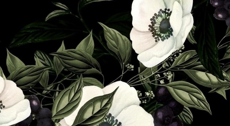 The Wedding Website of Carlos Ramos and Jennifer Sweeting