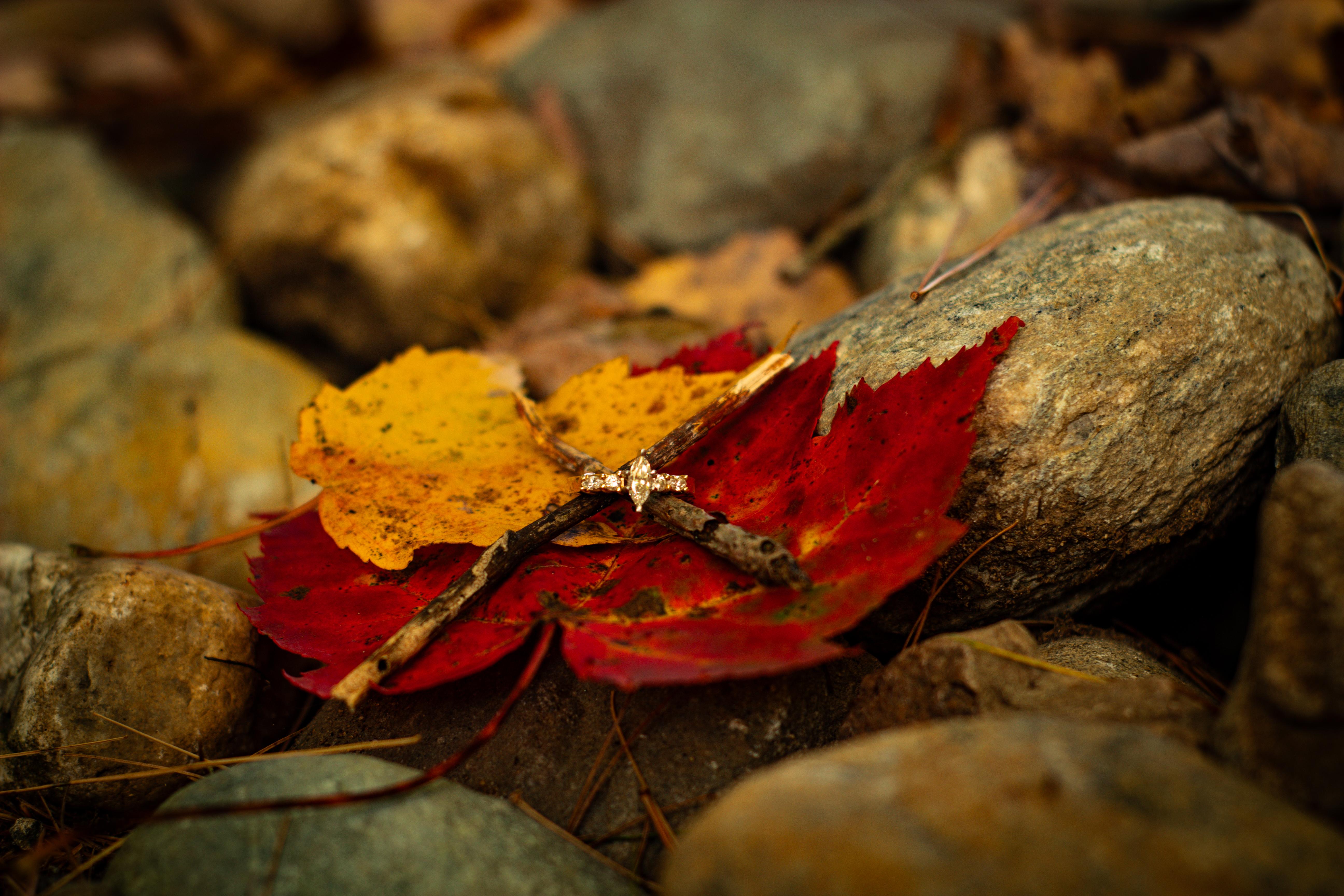 The Wedding Website of Alyssa Kennett and Samuel Rathbun