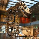 Natural History Museum of Los Angeles County (NHM)