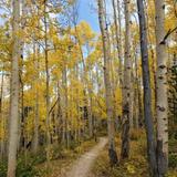 Hike a Trail in Aspen