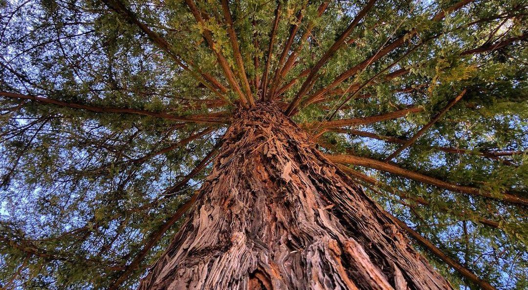 The Wedding Website of Melina Caputo and Christopher Gormley