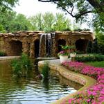 The Dallas Arboretum and Botanical Garden