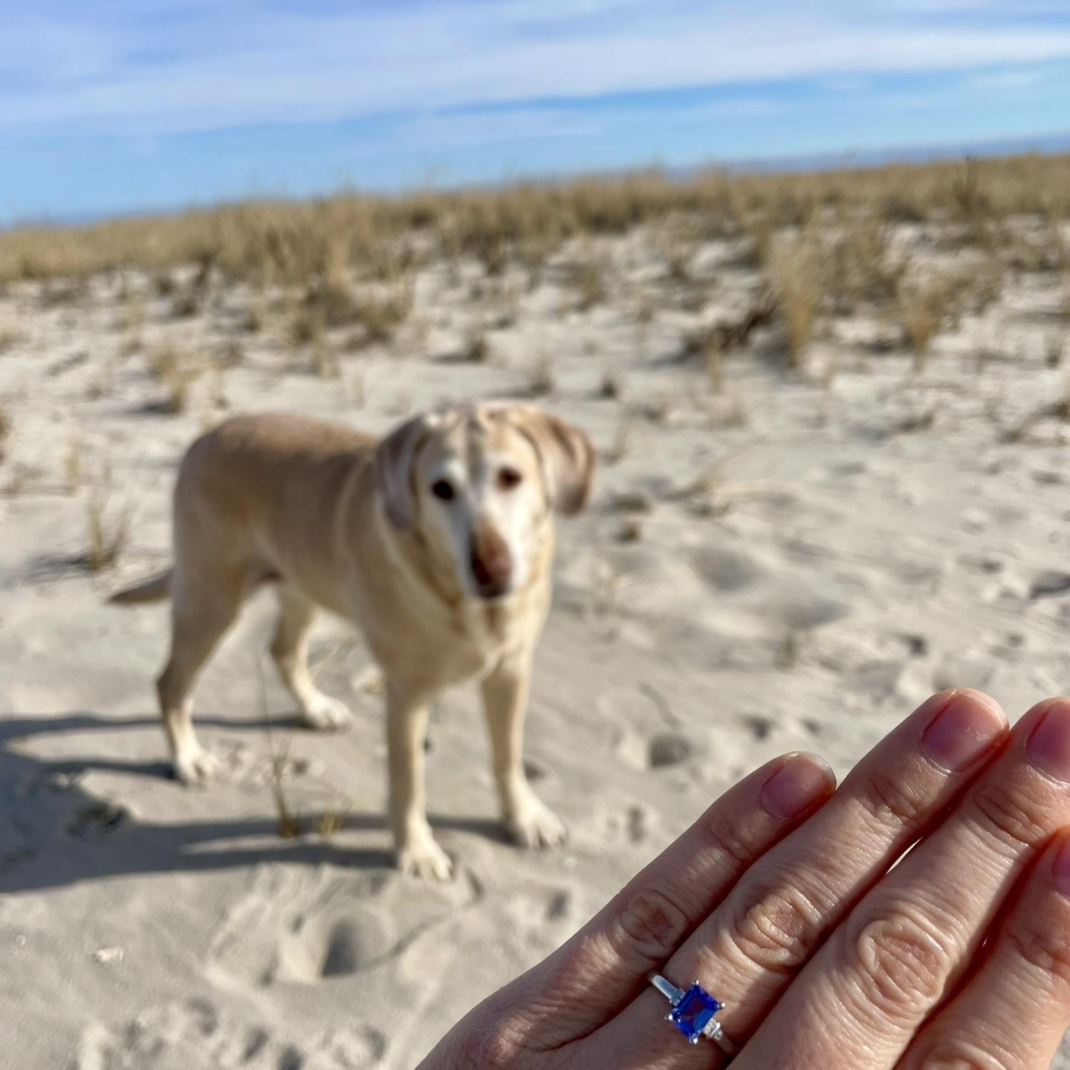 12/27/2024, the day we got engaged!