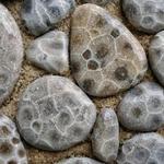 Fisherman's Island State Park