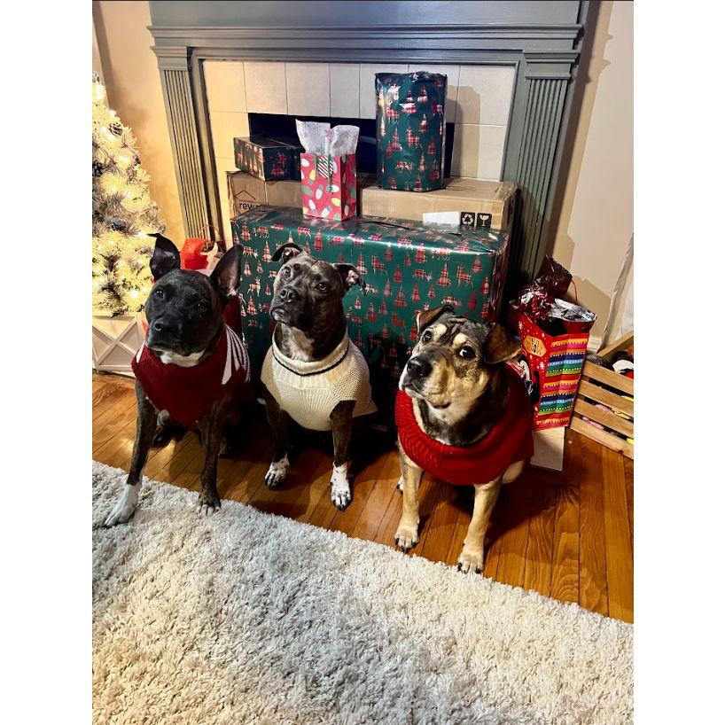 The one where we celebrated our first Christmas in our new home.
