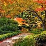 Lithia Park