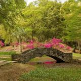 Jungle Gardens