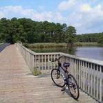 Cross Island Trail Trailhead