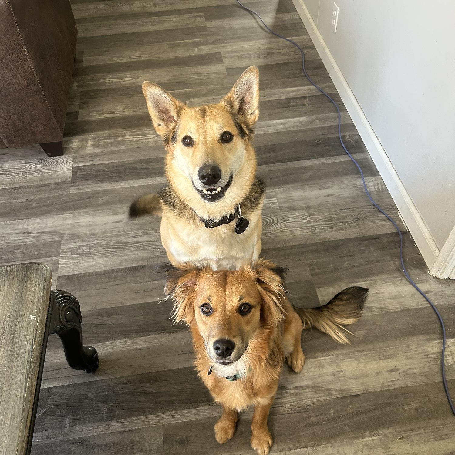 Kashi & Reno