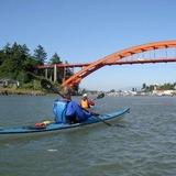 Kayak around Shelter Bay