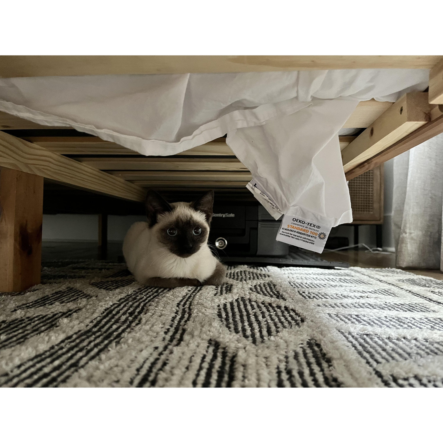 Moch's first hiding place #hidingforever