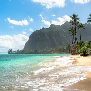 Hawaii Honeymoon Fund