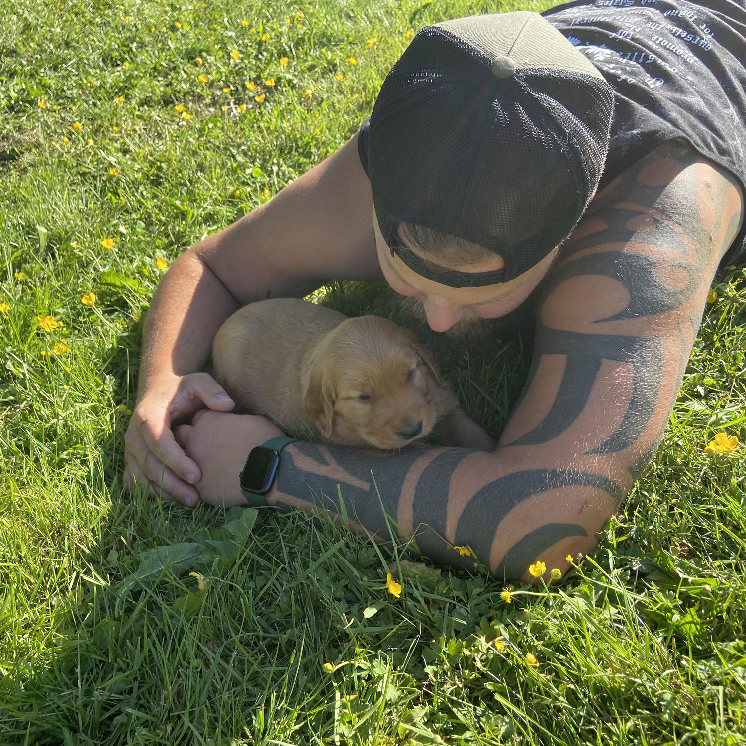 Puppy Love