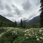 Those Wanting to Hike