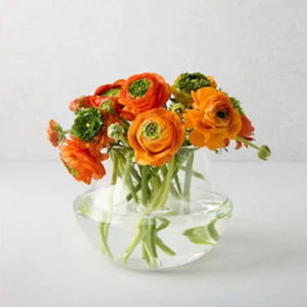 Mario Glass Vase - Hudson Grace