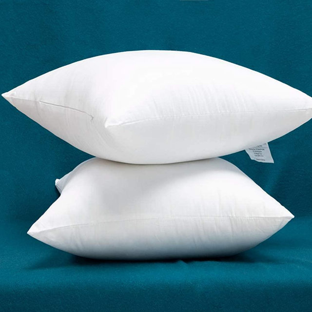 Warmwithann Cotton Fabric Plump Throw Pillow Inserts, Set of 2 Down Alternative Decorative Pillow Inserts, 24 x 24 Inches