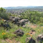 Sonoma Overlook Trail