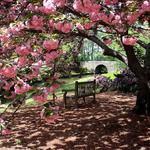 Norfolk Botanical Garden