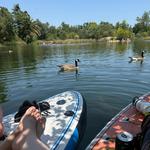 Lake Natoma
