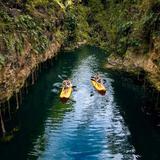Xenotes