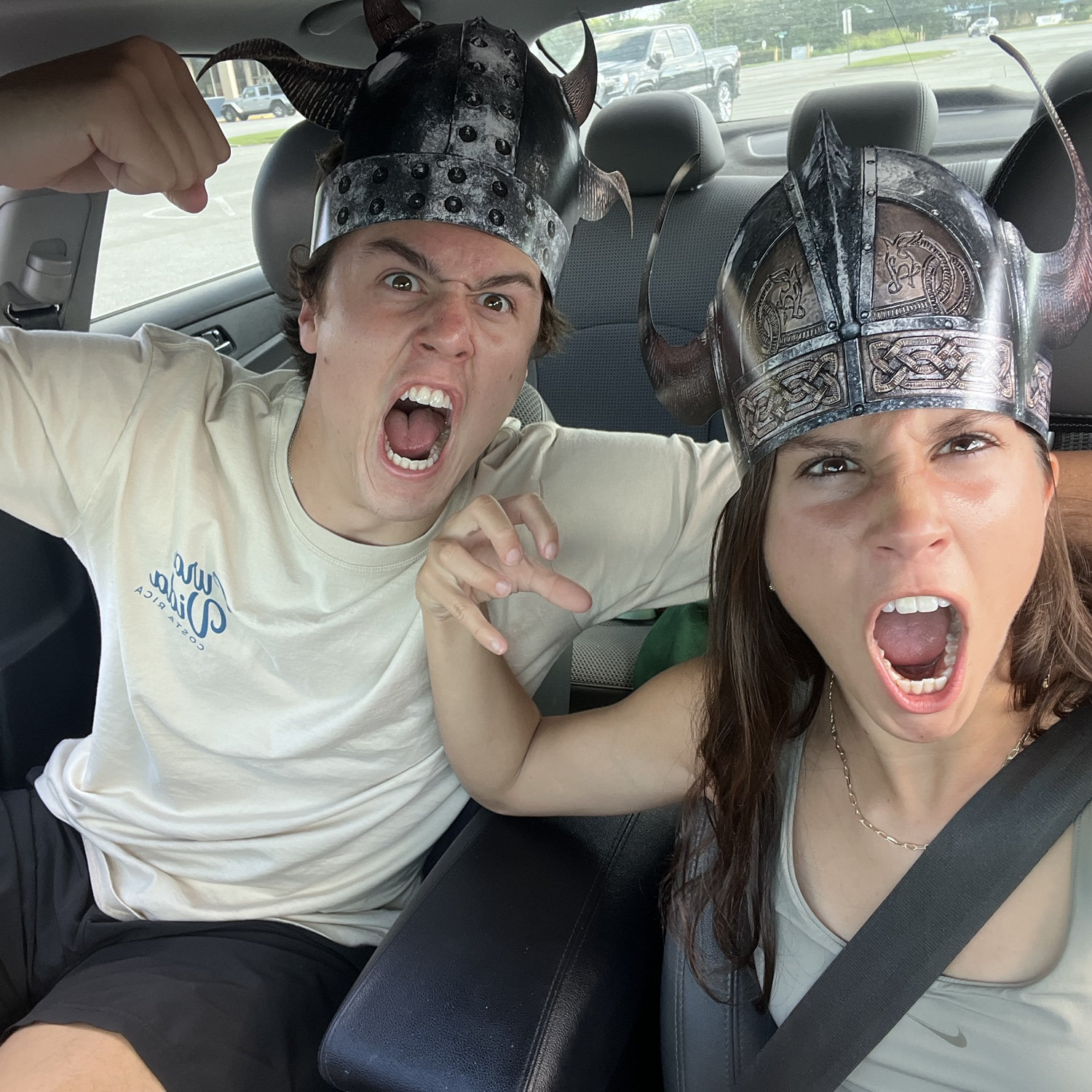 The live action of How To Train Your Dragon anyone?