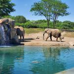 Indianapolis Zoo