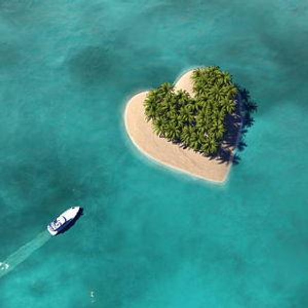 Honeymoon Fund