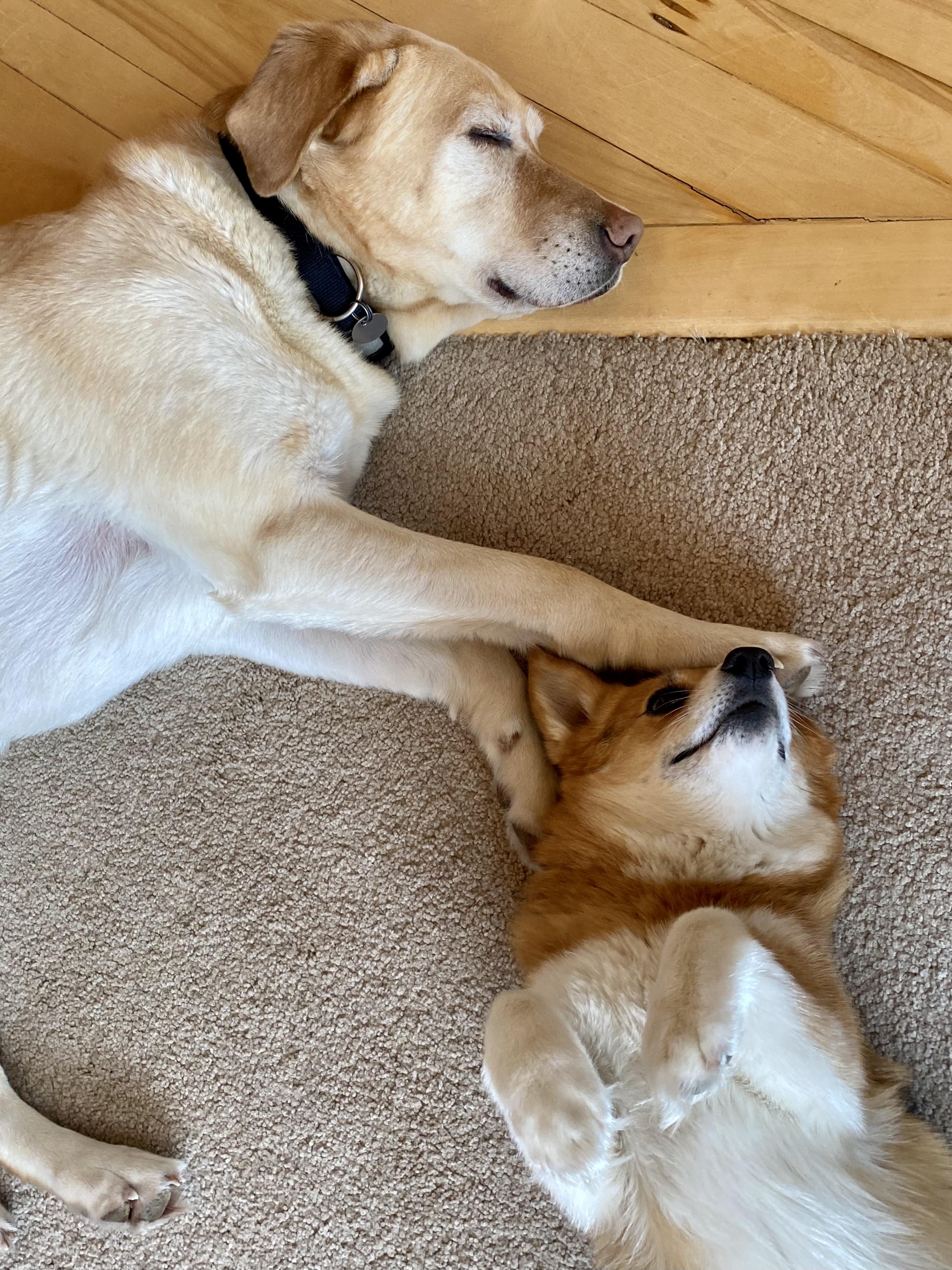 The Wedding Website of Kaitlin Vadla and Joel Todd