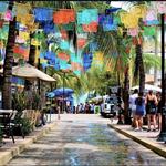 Sayulita Life Website