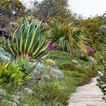 UC Santa Cruz Arboretum & Botanic Garden