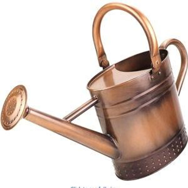 1 Gallon Metal Watering Can with Removable Spout, Nice Galvanized Steel Water Can with Embossed Design for Indoor and Outdoor Plants