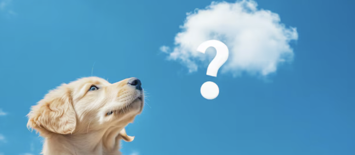 The Wedding Website of Valeria Müller and Adrián Rodríguez Fernández