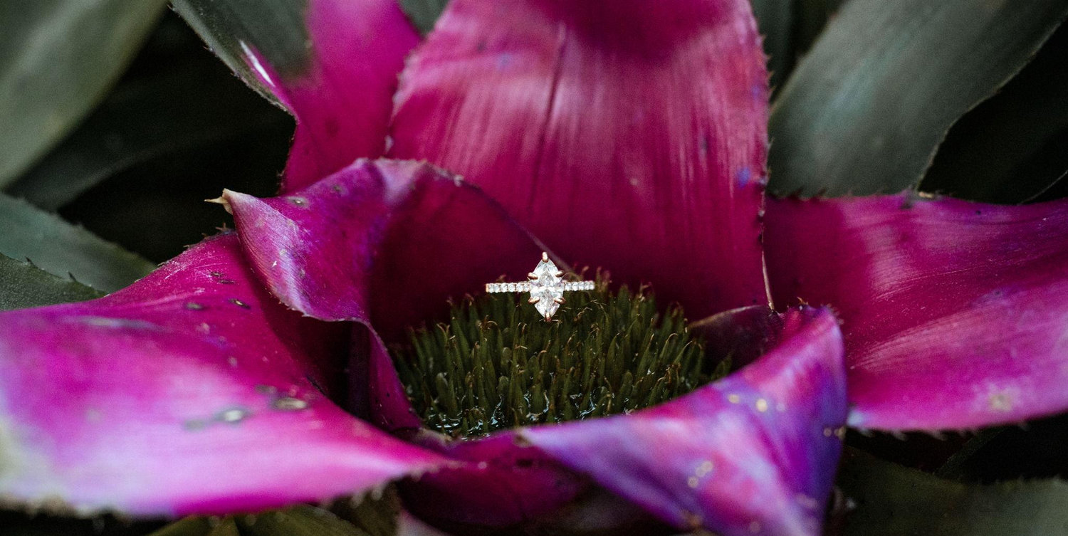 The Wedding Website of Rhiannon McMaster and Gabe Stroup