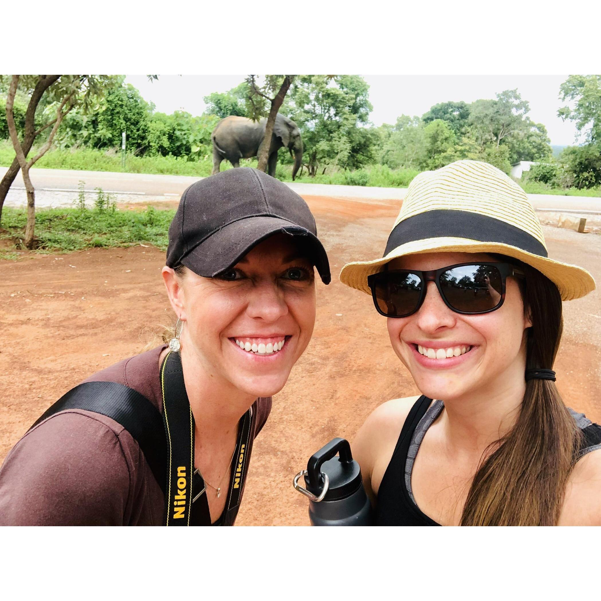 Safari in Ghana